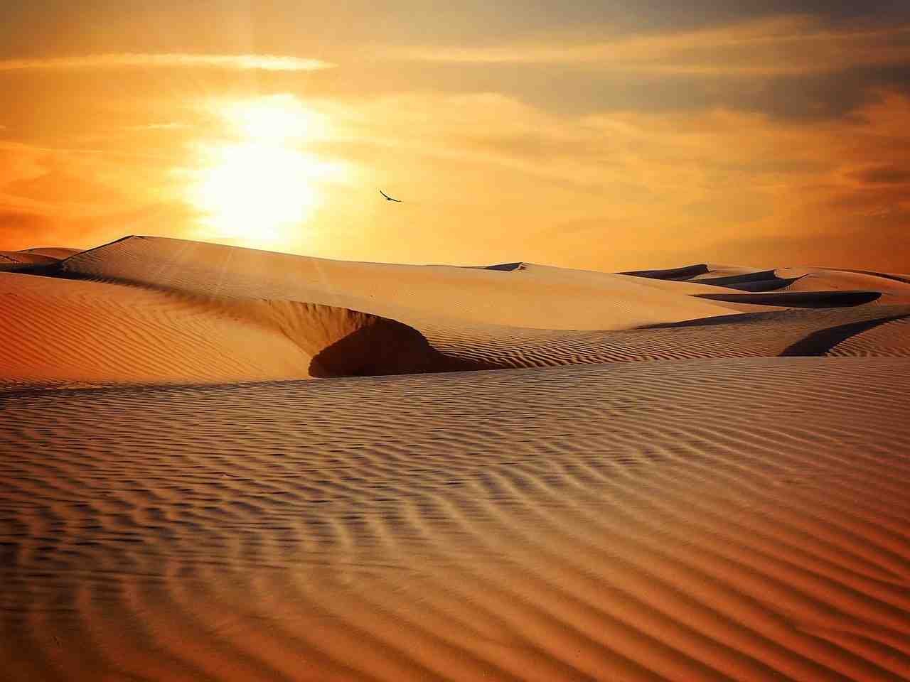 désert, sable, paysage